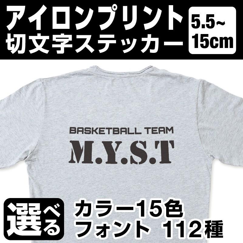 1文字からOK！15cmまで同価格！（5.5〜15cm）アイロンプリント 文字