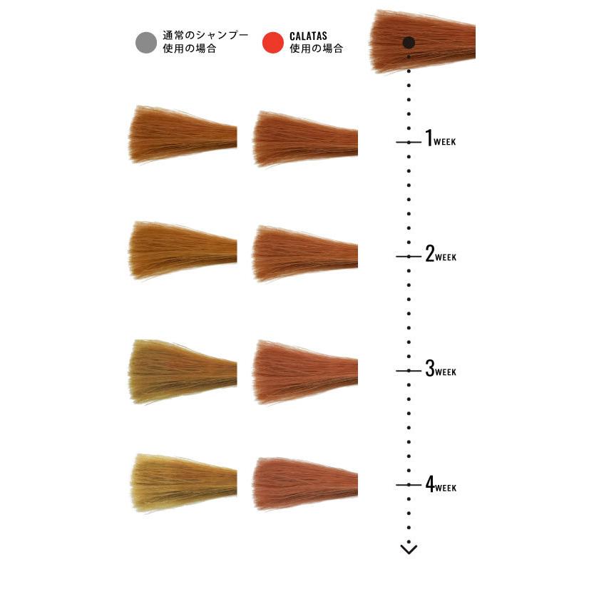 CALATAS（カラタス） 【期間限定価格・送料無料】シャンプー
