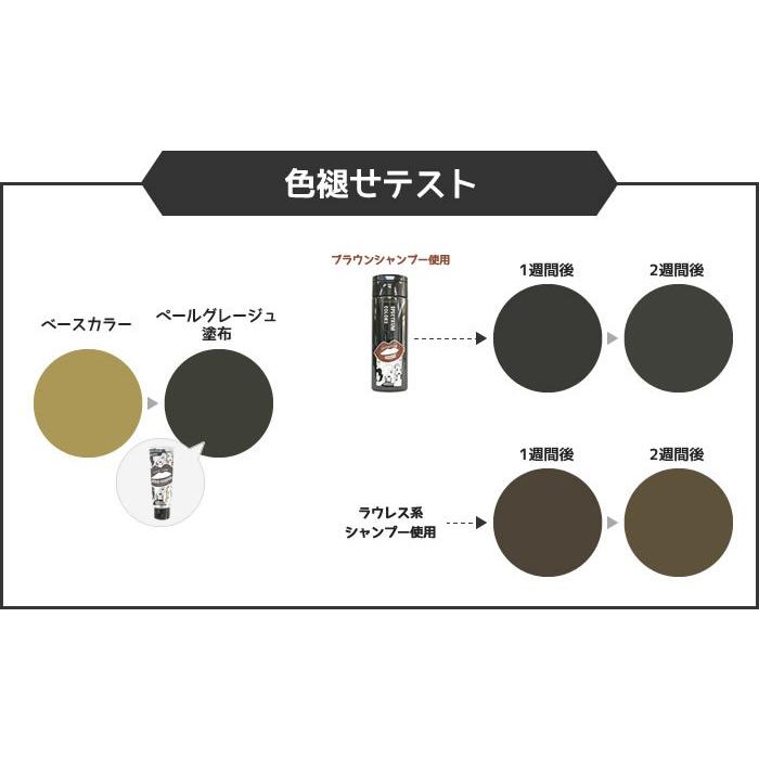 カラーシャンプー パイモア スペクトラムカラーズ シャンプー ピンク 0ml カラーシャンプー 色持ちキープ Spect Pk マイスタイル ヘアストア 通販 Yahoo ショッピング