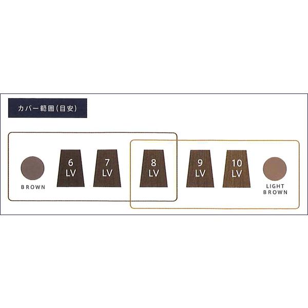 白髪隠しパウダーコンシーラー THROW スロウ コンシーラー 11g 全2色