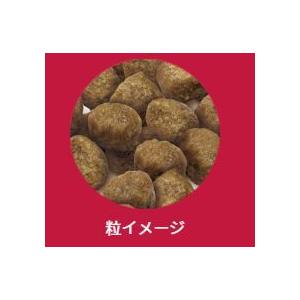 SELECT BALANCE セレクトバランス パピーチキン 小粒 7kg 仔犬 幼犬