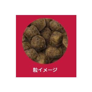 SELECT BALANCE セレクトバランス パピーラム 小粒 7kg 仔犬 幼犬 ラム