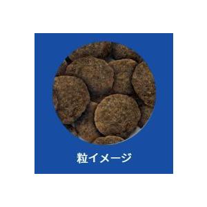 【あすつく】セレクトバランス アダルトラム 小粒  1kg ドッグフード 成犬 アレルギー対応(1070205)｜mystyle-pet｜02