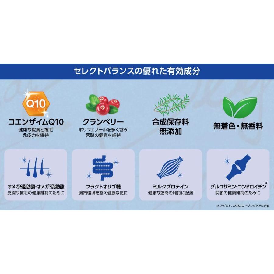 SELECT BALANCE セレクトバランス スリムラム 小粒 1kg ドッグフード
