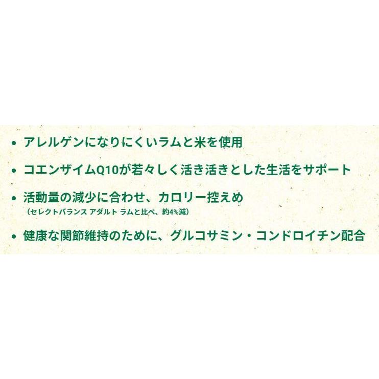海外限定 エイジングラム7kg i9tmg.com.br