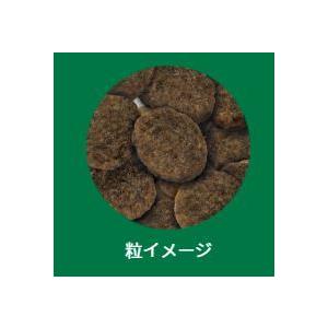 SELECT BALANCE セレクトバランス エイジングケア ラム 小粒 7kg 老犬