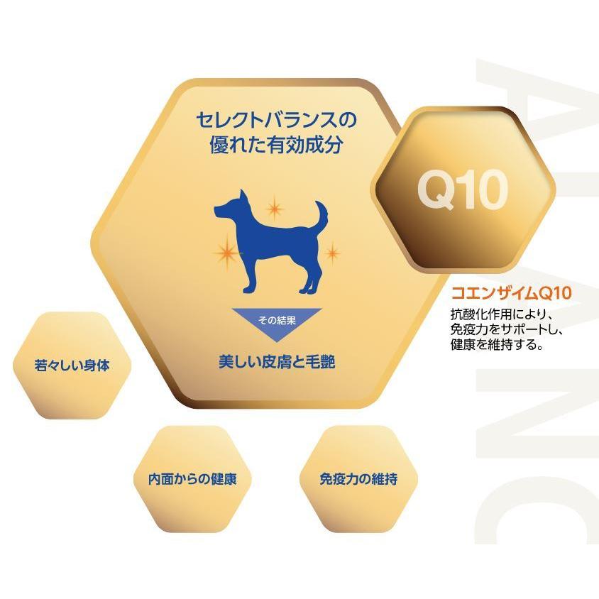 SELECT BALANCE セレクトバランス エイジングケア ラム 小粒 7kg