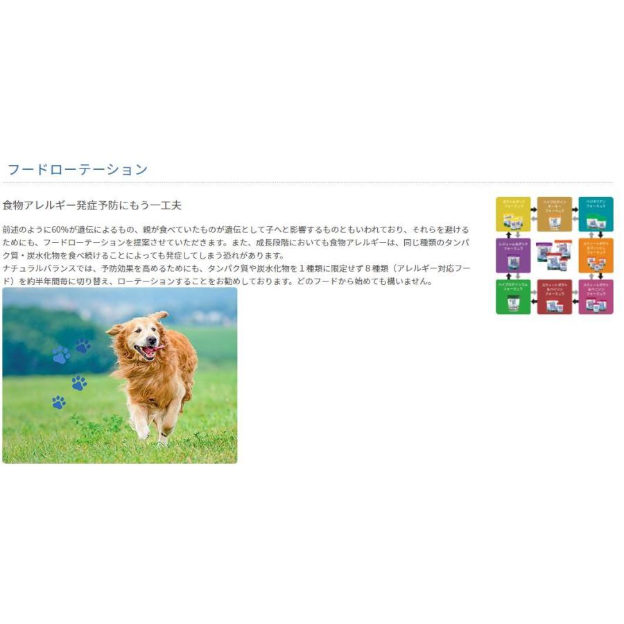 ナチュラルバランス (Natural Balance) リデュースカロリーフォーミュラ 1kg｜mystyle-pet｜10