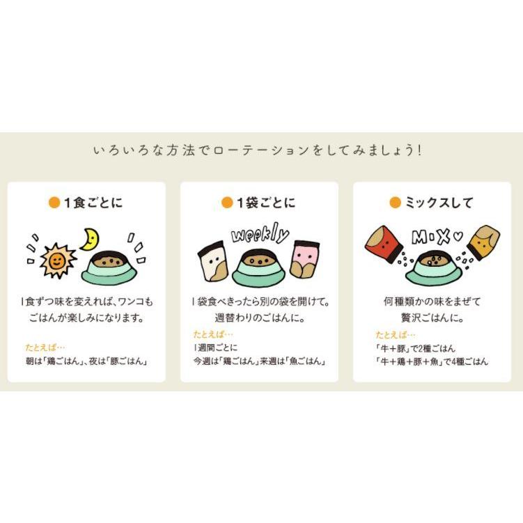 ドットわん ごはん 豚ごはん 500g×3個セット (おまけつきお得