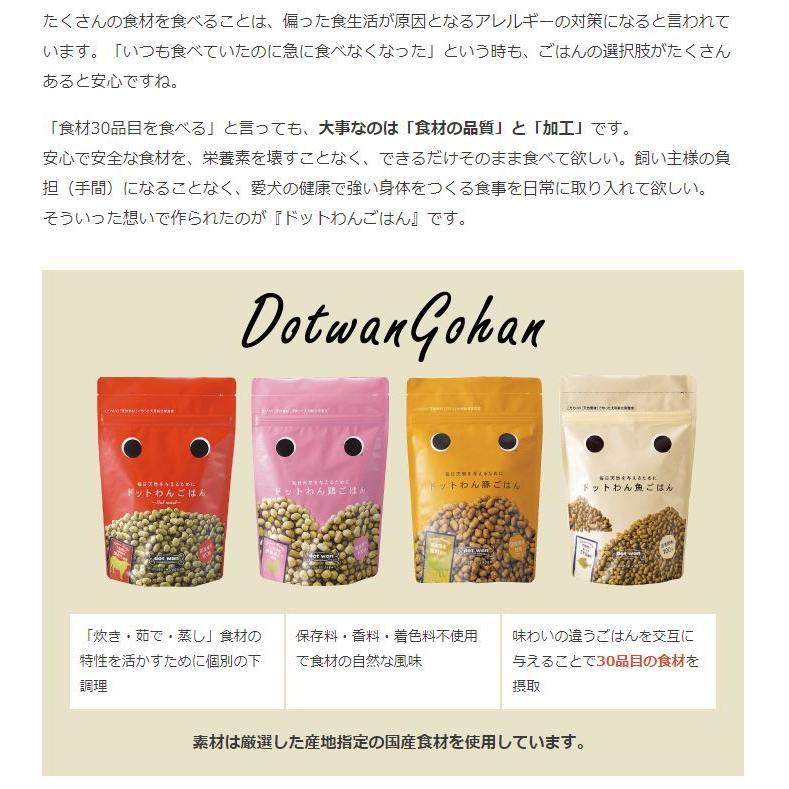 ドットわん ごはん 豚ごはん 500g×3個セット (おまけつきお得