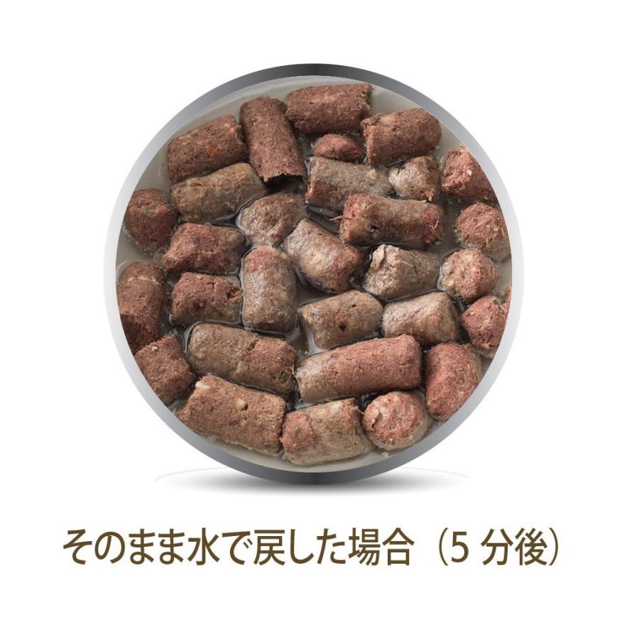 【入荷時期未定】K9 ナチュラル K9Natural ラム・フィースト 500g 無添加 K9 ドッグフード 生肉 フリーズドライ 手作り｜mystyle-pet｜05