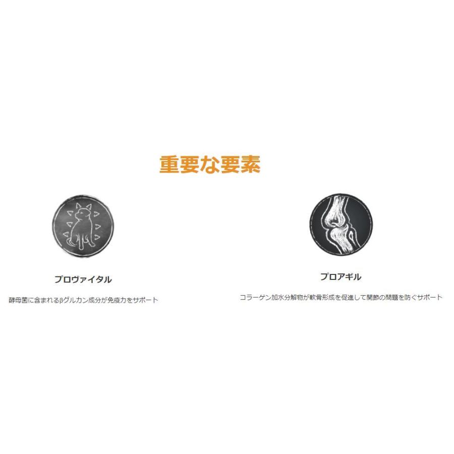 ベルカンド ファイネスト グレインフリー シニア (小粒) 12.5kg　ドイツ産　無添加ドッグフード　総合栄養食　ドライフード ファイネスト グレインフリー シニア 小粒