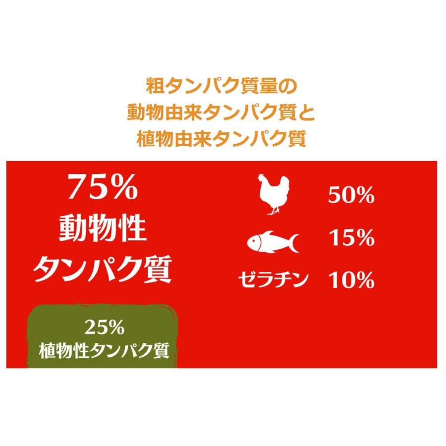 ベルカンド ファイネスト グレインフリー シニア (小粒) 12.5kg　ドイツ産　無添加ドッグフード　総合栄養食　ドライフード ファイネスト グレインフリー シニア 小粒