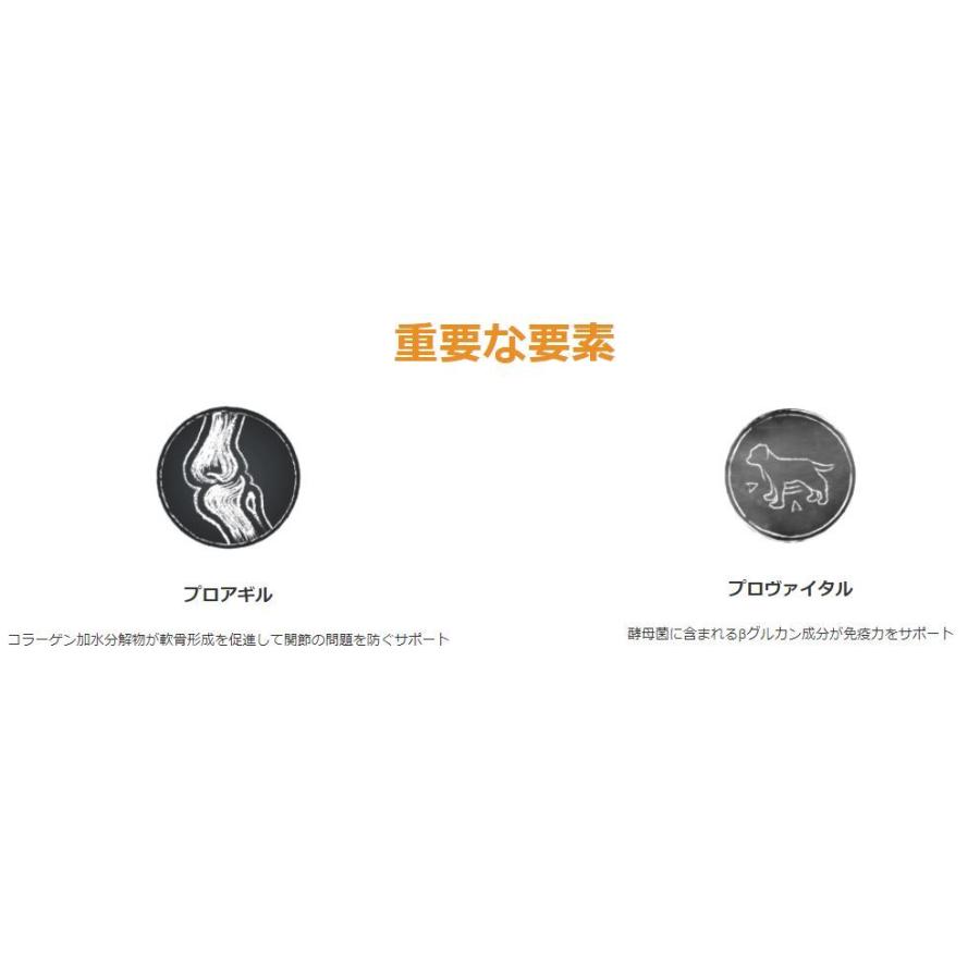 ベルカンド アダルト シニアセンシティブ　老犬用 12.5kg　ドイツ産　無添加ドッグフード　総合栄養食　ドライフード アダルト