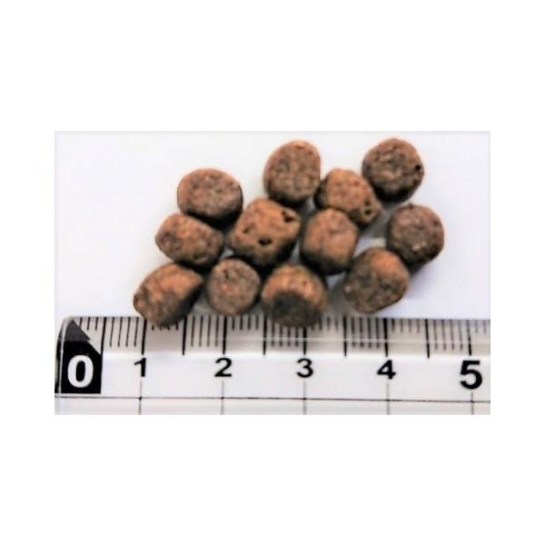 ウィッシュ Wish No.700ワイルドパピー 11kg 仔犬（妊娠・授乳犬） 成犬 グレインフリー （穀物不使用） ヤギミルク入り_1