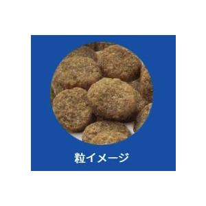 【500円オフクーポンが使える】【あすつく】セレクトバランス グレインフリー アダルト サーモン 小粒 6kgの画像