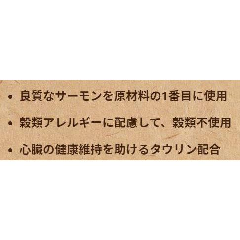 【500円オフクーポンが使える】【あすつく】セレクトバランス グレインフリー アダルト サーモン 小粒 6kgの画像