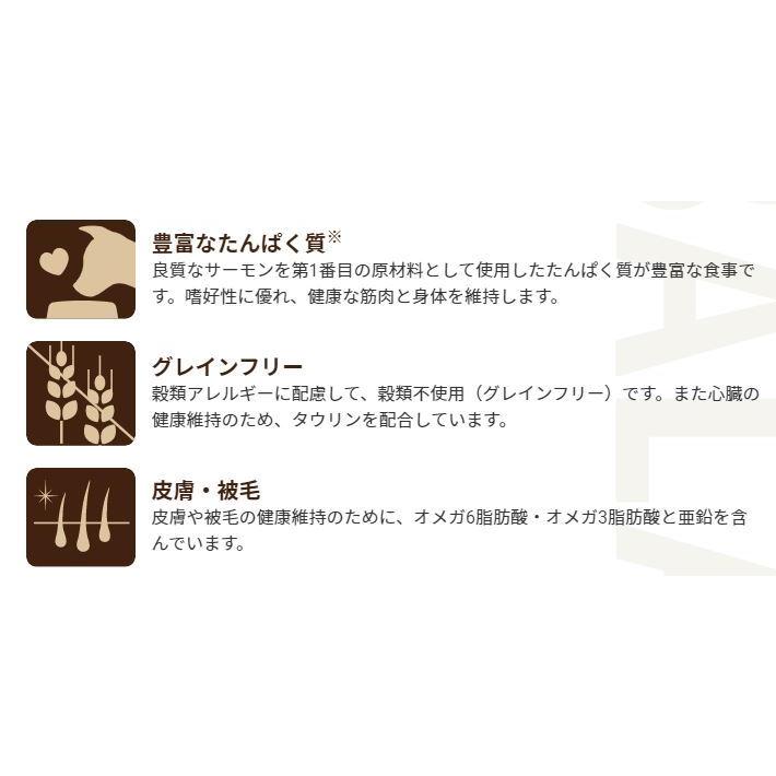 【500円オフクーポンが使える】【あすつく】セレクトバランス グレインフリー アダルト サーモン 小粒 6kgの画像
