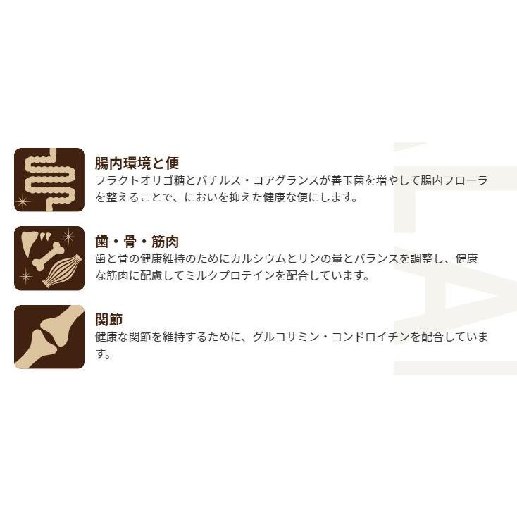 【500円オフクーポンが使える】【あすつく】セレクトバランス グレインフリー アダルト サーモン 小粒 6kgの画像