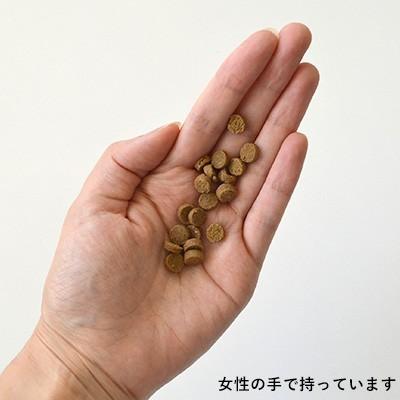 【期間限定10％オフ】Yum Yum Yum! ヤムヤムヤム かつお【ドライタイプ 2kg×2個】 犬用 ドッグフード ドライフード ペットフード 小粒 国産｜mystyle-pet｜03