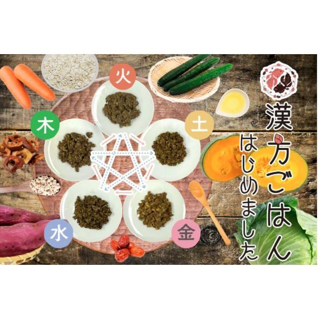 げんかつごはん（旧漢方ごはん） レトルトタイプ 金 80g (犬用 ドッグフード ウェットフード 総合栄養食)｜mystyle-pet｜11