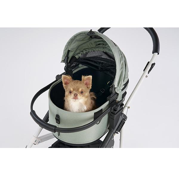 AIRBUGGY（エアバギー） 【入荷時期未定】 DOME3 ドーム3 SMALL SET