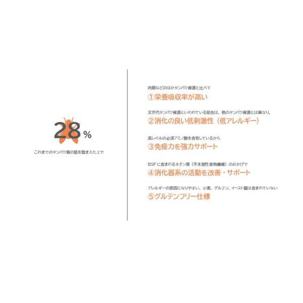 MANABLE ハイパー・ニュートリシャス3kg : MyStyleペットストア - 通販 - Yahoo!ショッピング