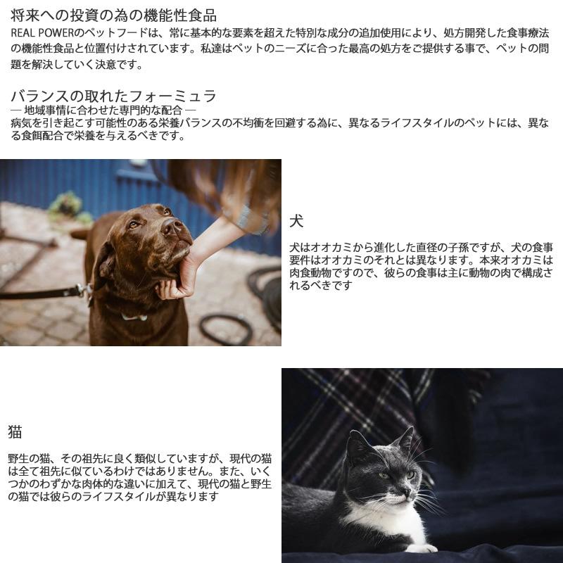 リアルネイチャー ホリスティックドッグフード N0.2フォレストチキン【消化器の健康】 10kg （犬用 プレミアムフード） N0