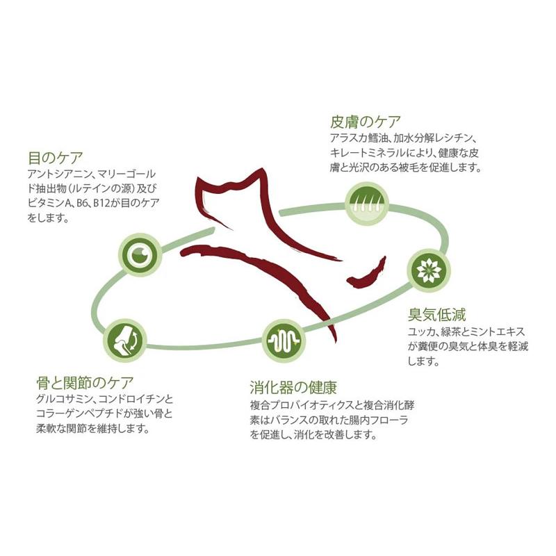 リアルネイチャー ホリスティックドッグフード N0.2フォレストチキン【消化器の健康】 10kg （犬用 プレミアムフード） N0