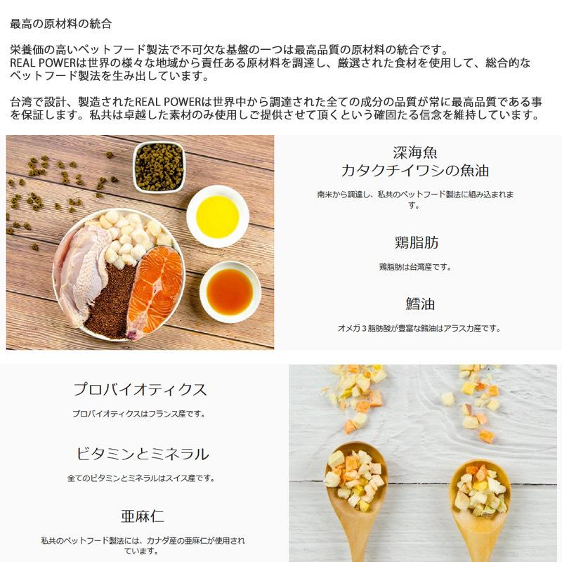 リアルネイチャー ホリスティックドッグフード N0.2フォレストチキン【消化器の健康】 10kg （犬用 プレミアムフード） N0