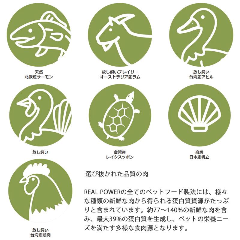 リアルネイチャー ホリスティックドッグフード N0.2フォレストチキン【消化器の健康】 10kg （犬用 プレミアムフード） N0