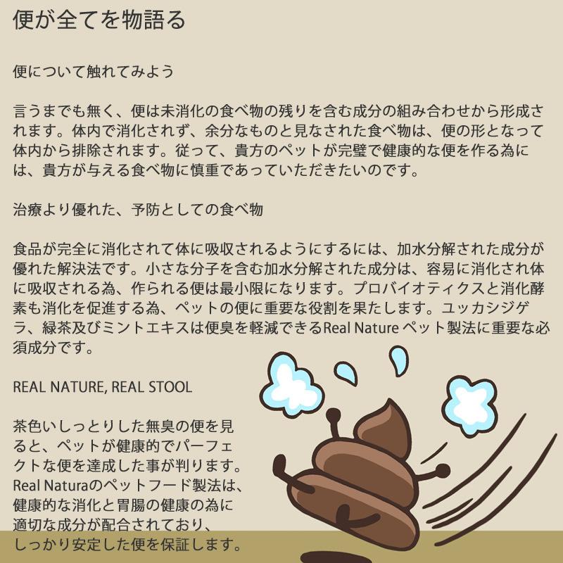 リアルネイチャー ホリスティックドッグフード N0.2フォレストチキン【消化器の健康】 10kg （犬用 プレミアムフード） N0