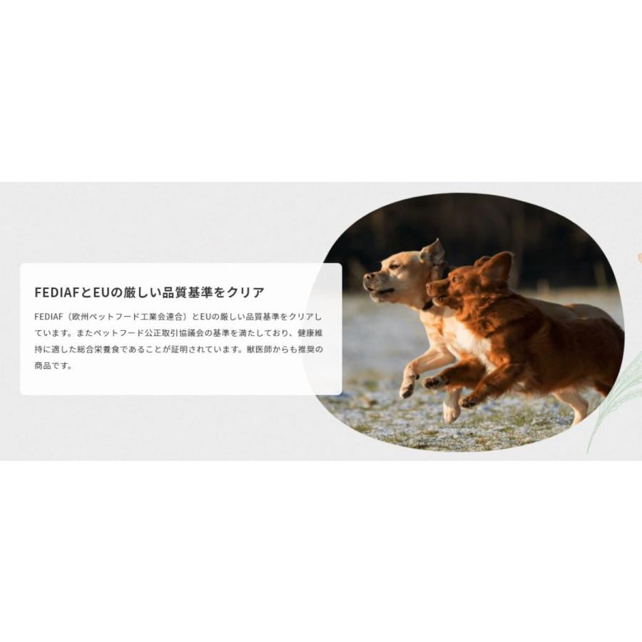 ELMO サーモン アダルト 3kg 楽天市場】☆【成犬用 イタリア製ドッグフード 3kg】ELMO エルモ