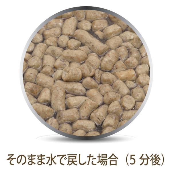 【2個セット】フィーラインナチュラル（猫用）チキン＆ラム フリーズドライ320g\u003cbr\u003e（猫用品）_2