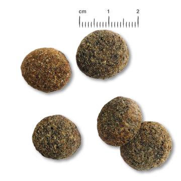 ベルカンド アダルト シニアセンシティブ　老犬用 12.5kg　ドイツ産　無添加ドッグフード　総合栄養食　ドライフード アダルト