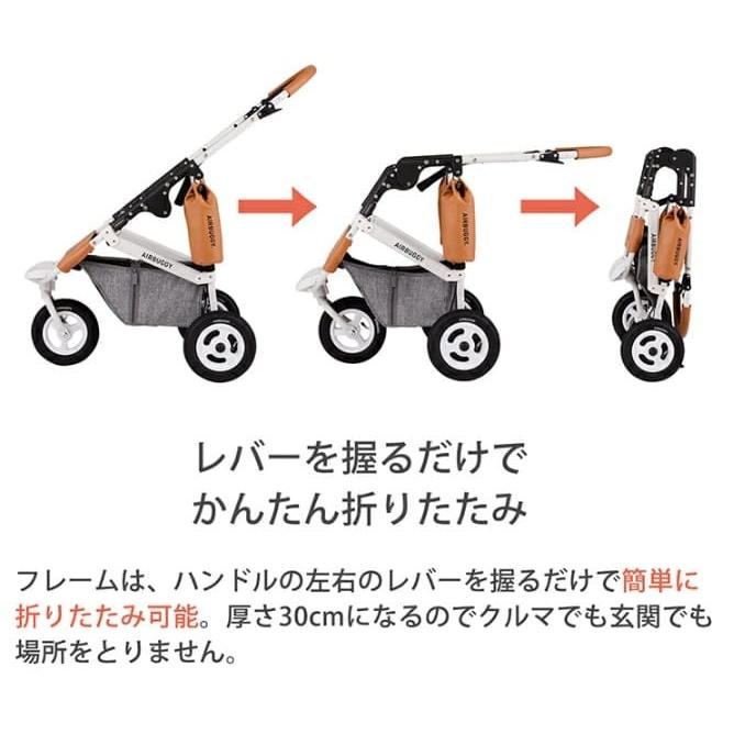 AIRBUGGY（エアバギー） エアーバギー ドーム3 ラージセット グラス