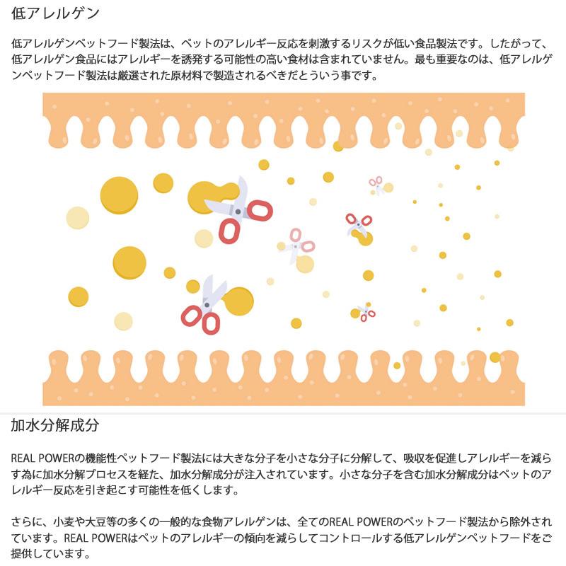 リアルネイチャー ホリスティックドッグフード N0.2フォレストチキン【消化器の健康】 10kg （犬用 プレミアムフード） N0