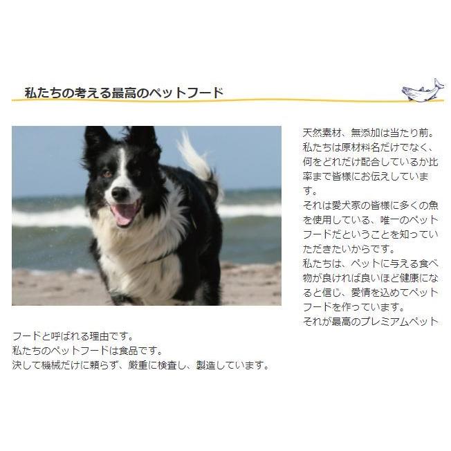 フィッシュ4 FISH4ドッグ フィッシュ4ドッグ フィッシュフォードッグ