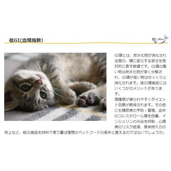 フィッシュ4 FISH4ドッグ フィッシュ4ドッグ フィッシュフォードッグ