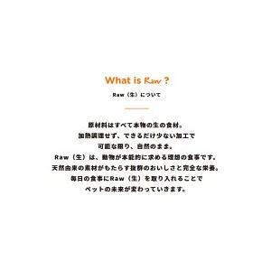 インスティンクト instinct Raw Boost リアルチキン ラージブリード パピー 9kg （犬用） 総合栄養食（ドッグフード ドライフード プレミアムフード） ラージブリード パピー を配合