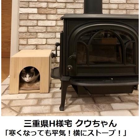 キャットハウス 木製 ねこハウス にゃんこハウス箱型ラージサイズ