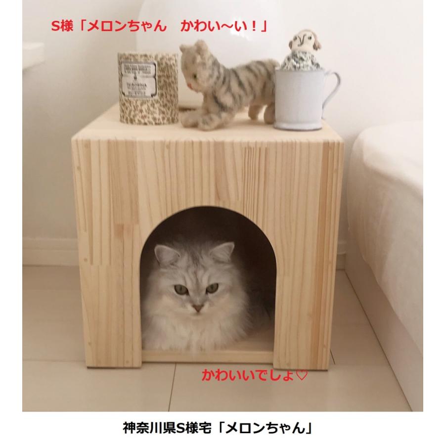 キャットハウス 木製 ねこハウス にゃんこハウス箱型ラージ キャットハウス 木製 ねこハウス にゃんこハウス箱型ラージ