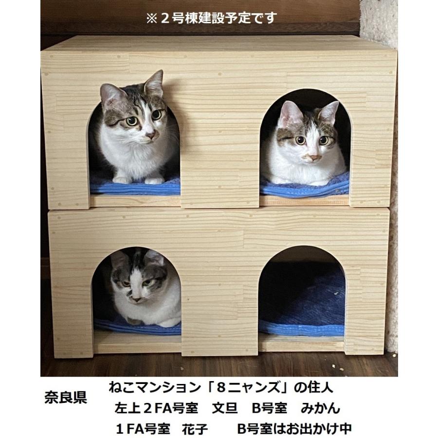 キャットハウス 木製 ねこハウス箱型ツイン Kh 005 ねこ館みゅうたん 通販 Yahoo ショッピング