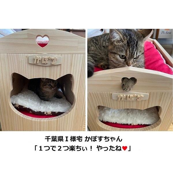 キャットハウス 木製 にゃんこ ぷぎゃっと ハウス ２段ベッド Nh 009 ねこ館みゅうたん 通販 Yahoo ショッピング