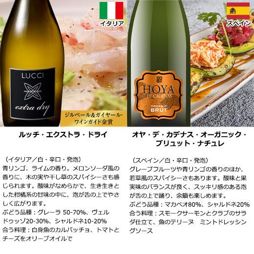 ワイン スパークリングワインセット 3大銘醸地入り 世界選りすぐり