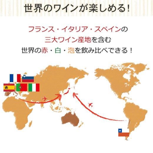 ワイン ワインセット 3大銘醸地入り!世界の選りすぐり赤・白・スパークリングワイン飲み比べ12本セット 第10弾 送料無料｜mywine｜05