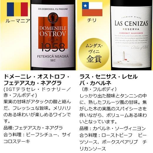 ワイン 赤ワインセット （ 実質 送料無料 クーポン 配布中 ） フランス イタリア スペイン 世界の 赤ワイン 選りすぐり１１本セット｜mywine｜07