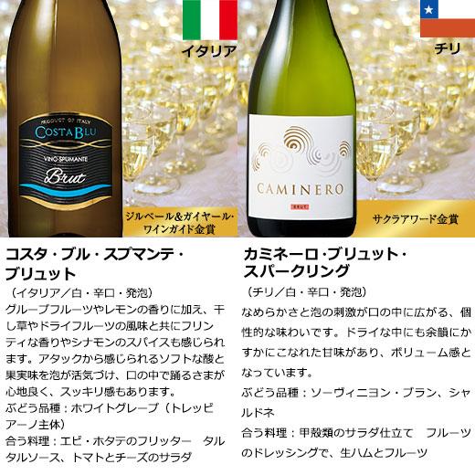 ワイン ワインセット 46％OFF 瓶内二次発酵製法カバ入り!世界銘醸国の泡11本セット 第7弾 送料無料｜mywine｜09