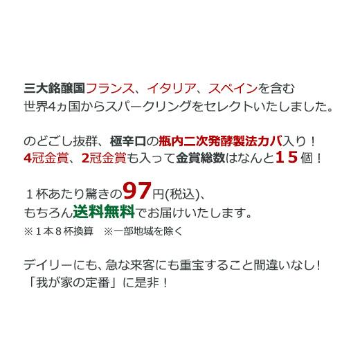 ワイン ワインセット 44％OFF 瓶内二次発酵製法カバ入り!世界銘醸国の泡11本セット 第9弾 送料無料｜mywine｜03