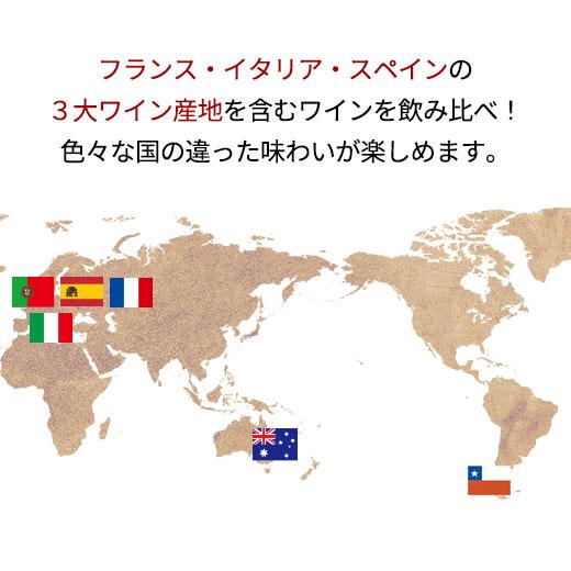 ワイン ワインセット 赤ワイン 【特別送料無料】3大銘醸地入り!世界選りすぐり赤ワイン11本セット 第225弾｜mywine｜03